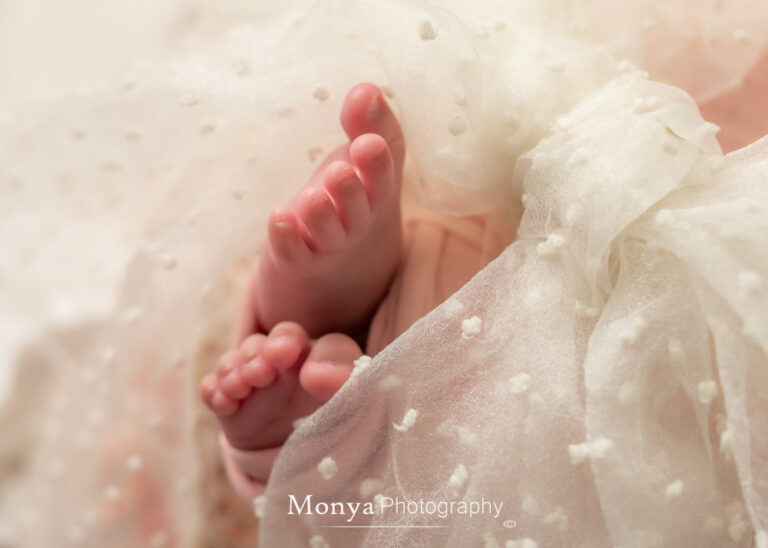 newborn baby photoshoot