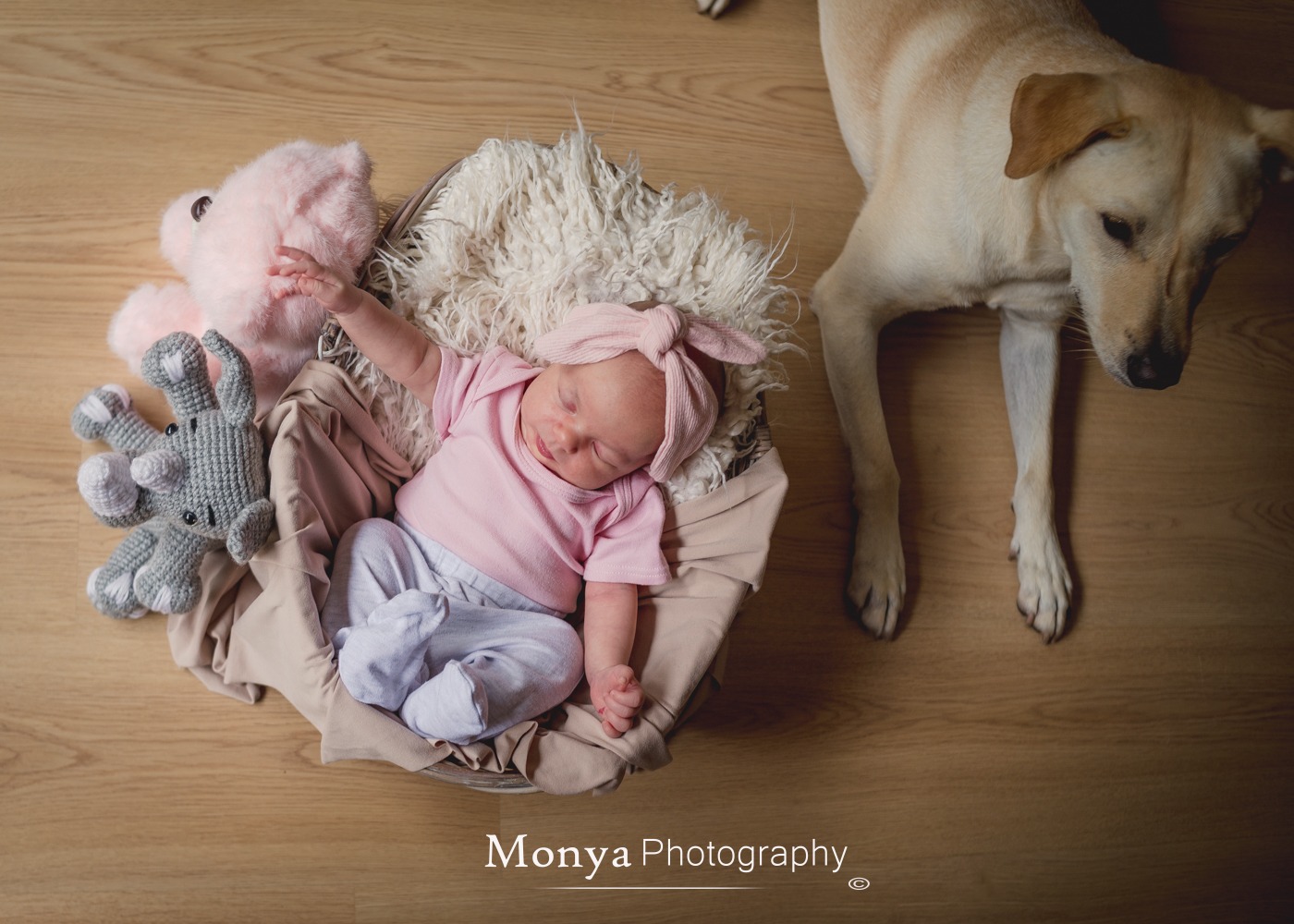 The Beauty of Authentic In-Home Lifestyle Sessions