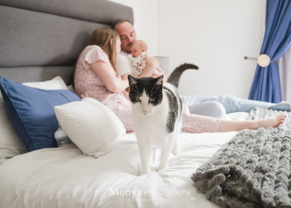 The Beauty of Authentic In-Home Lifestyle Sessions